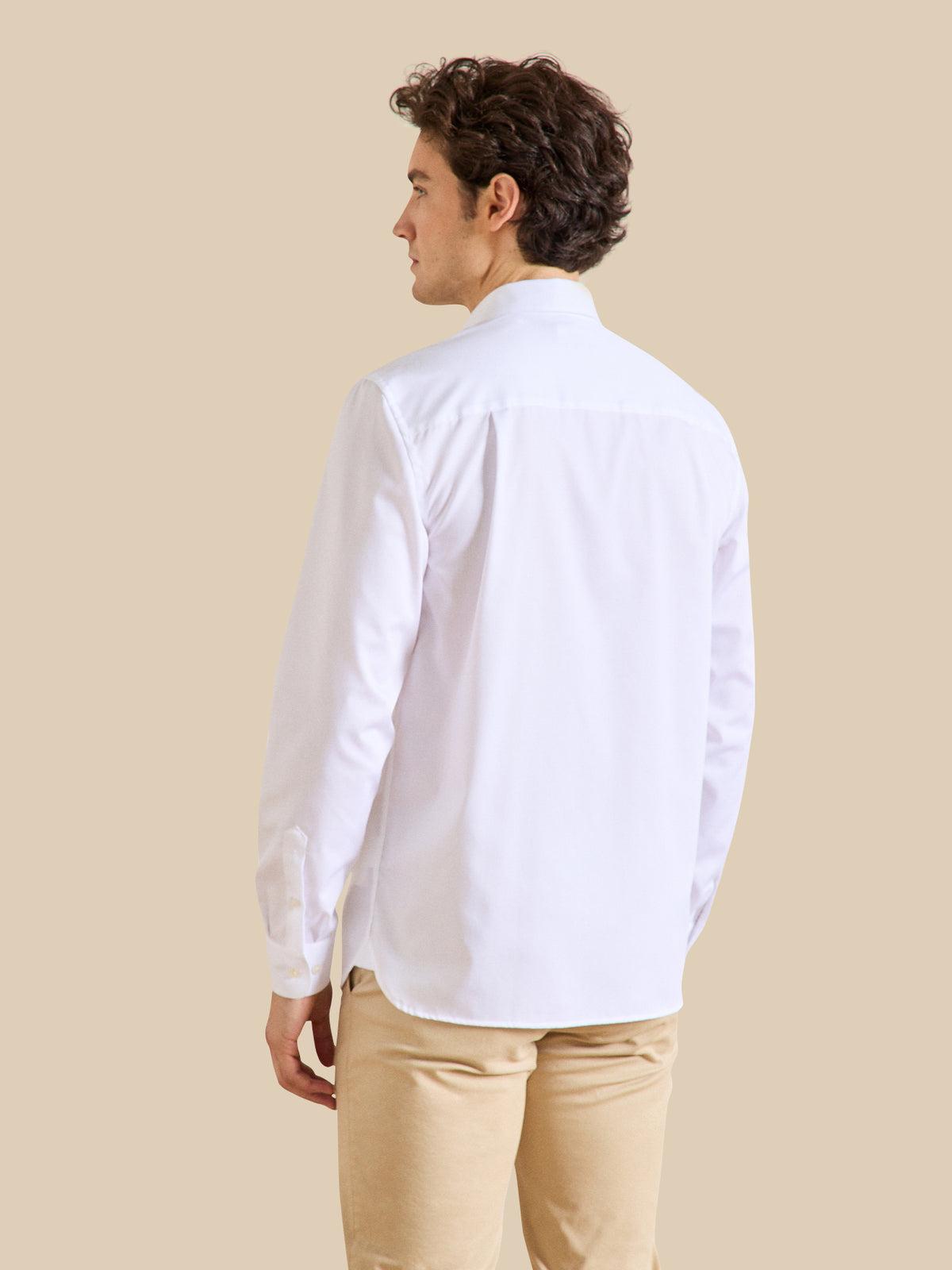 Men's Regular plain cotton twill non-iron shirt