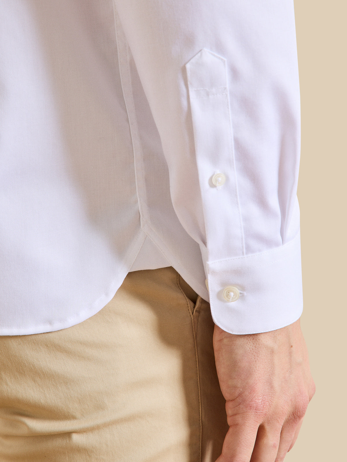 Men's Regular plain cotton twill non-iron shirt