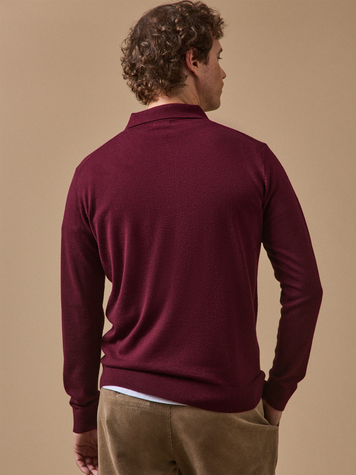 Pull fin col polo laine mérinos homme