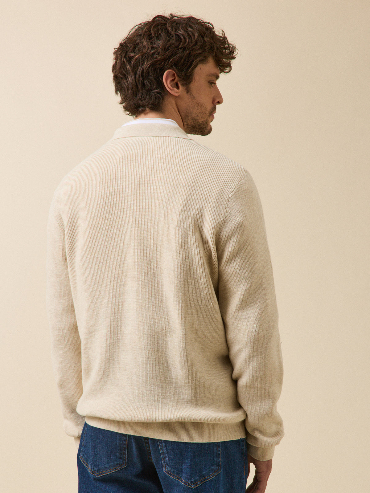 Pull col polo homme coton biologique