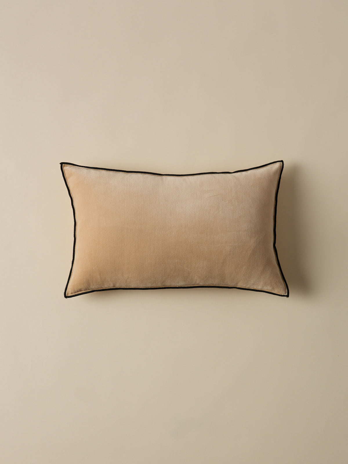 Housse de coussin en velours