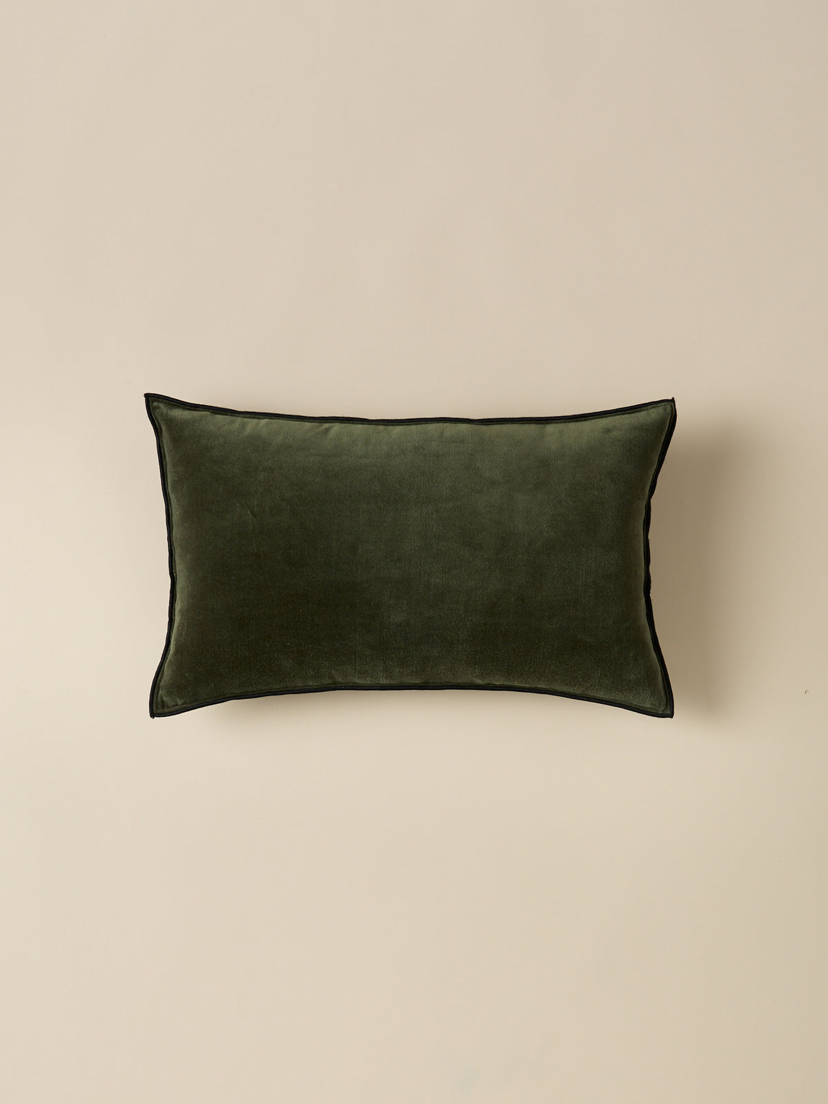 Housse de coussin en velours