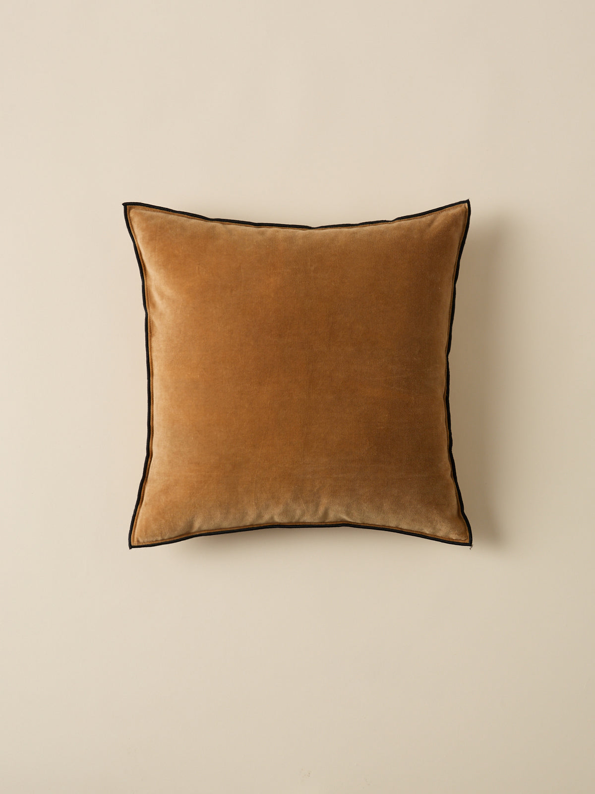 Housse de coussin en velours