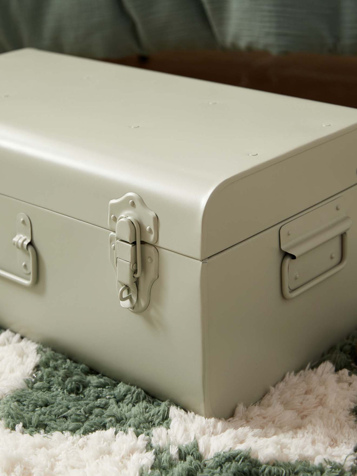 Metal storage trunk