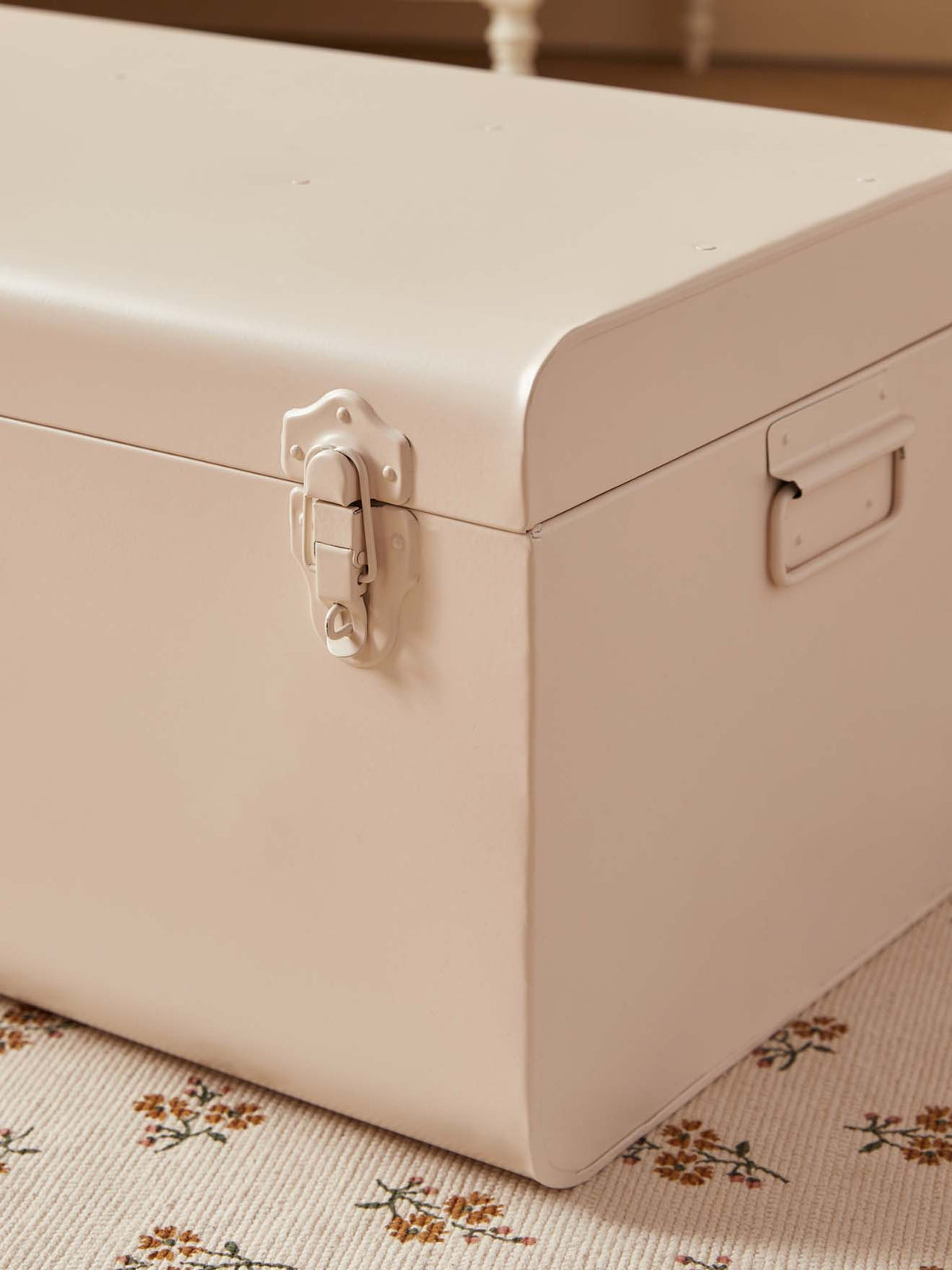 Metal storage trunk