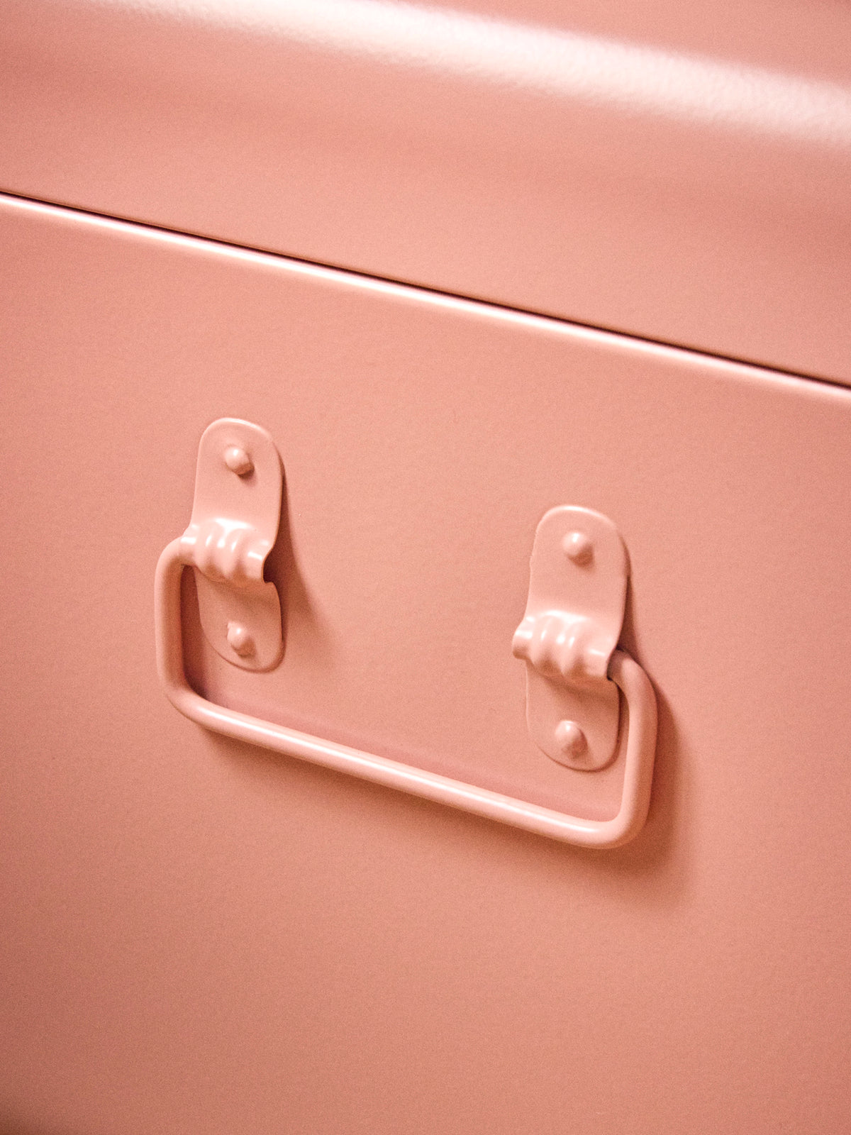 Metal storage trunk