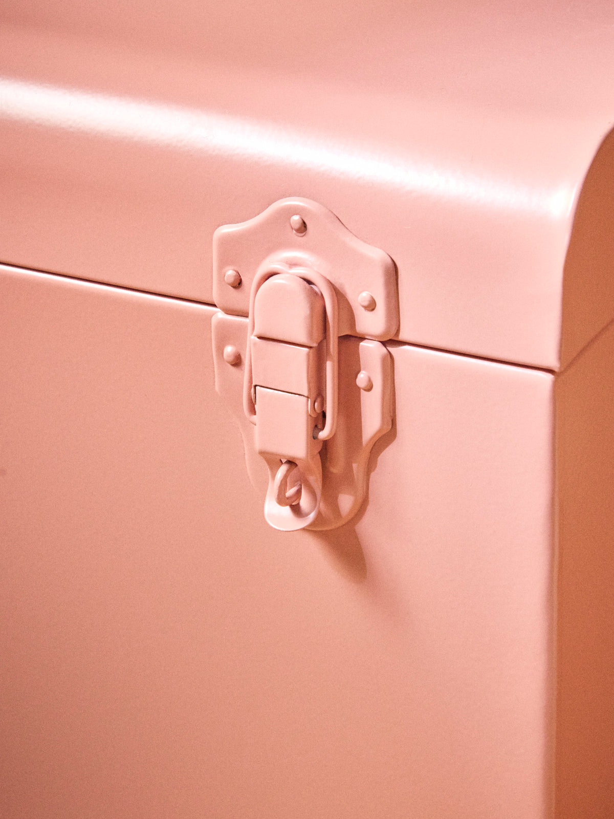Metal storage trunk