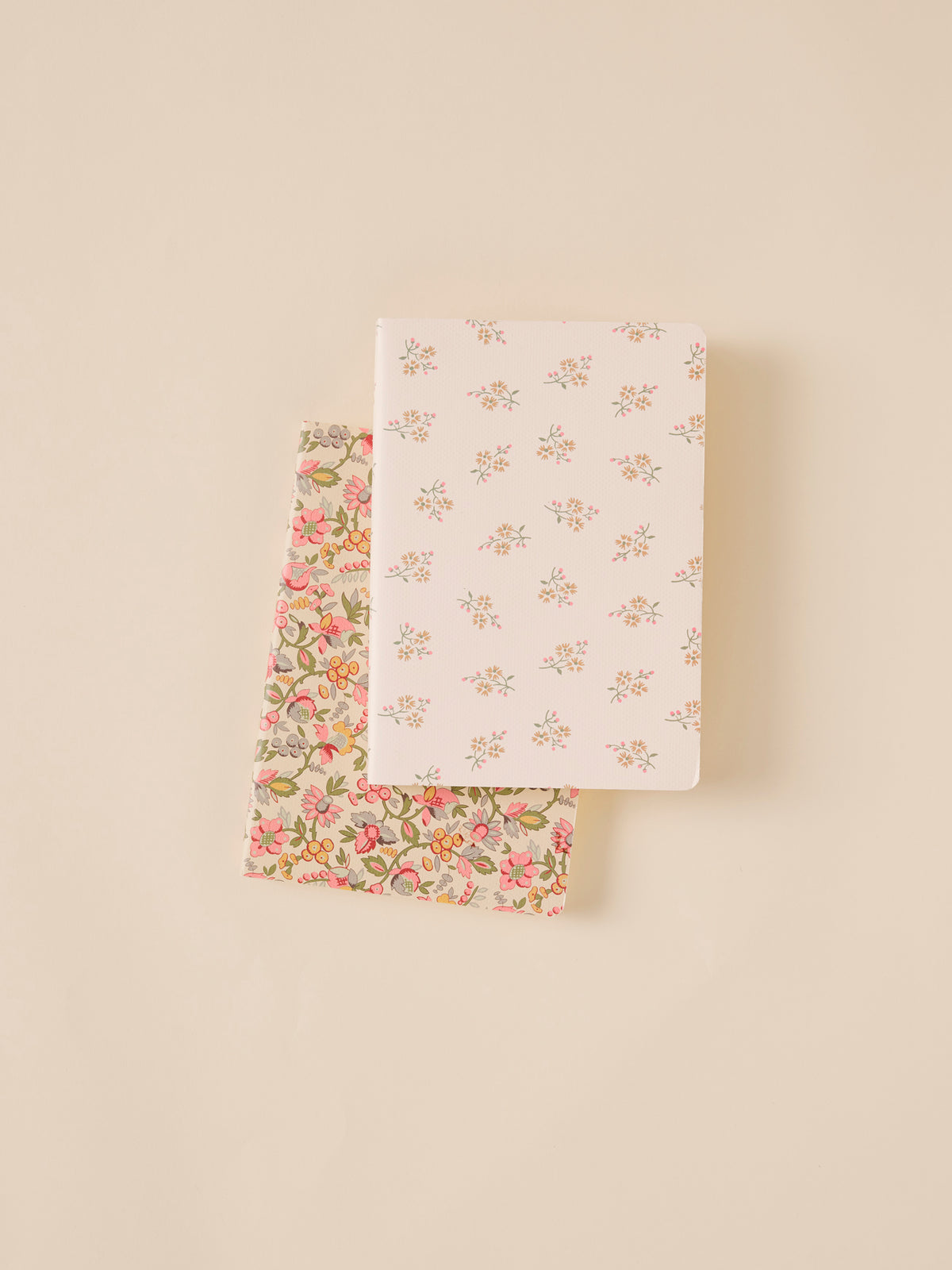 Lot de 2 carnets
