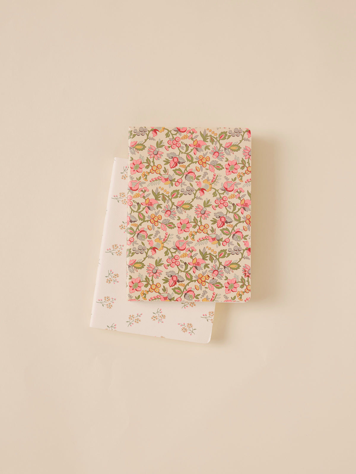 Lot de 2 carnets