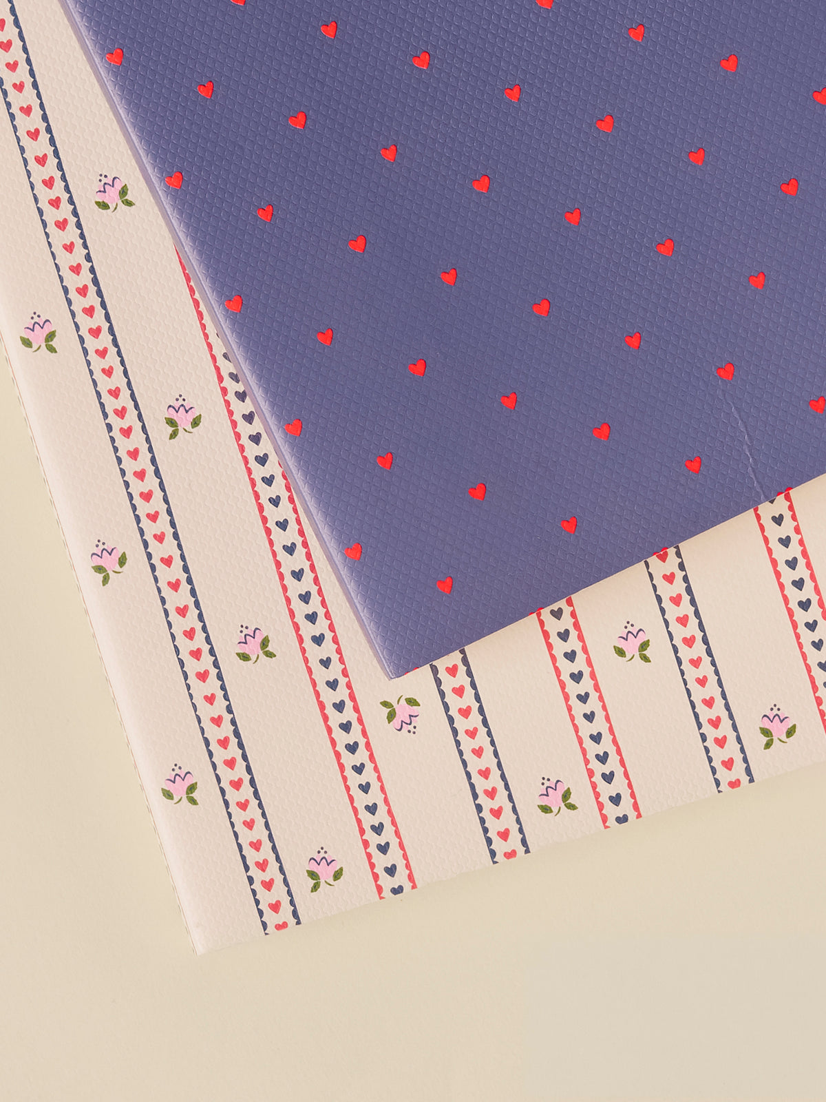 Pack of 2 notebooks