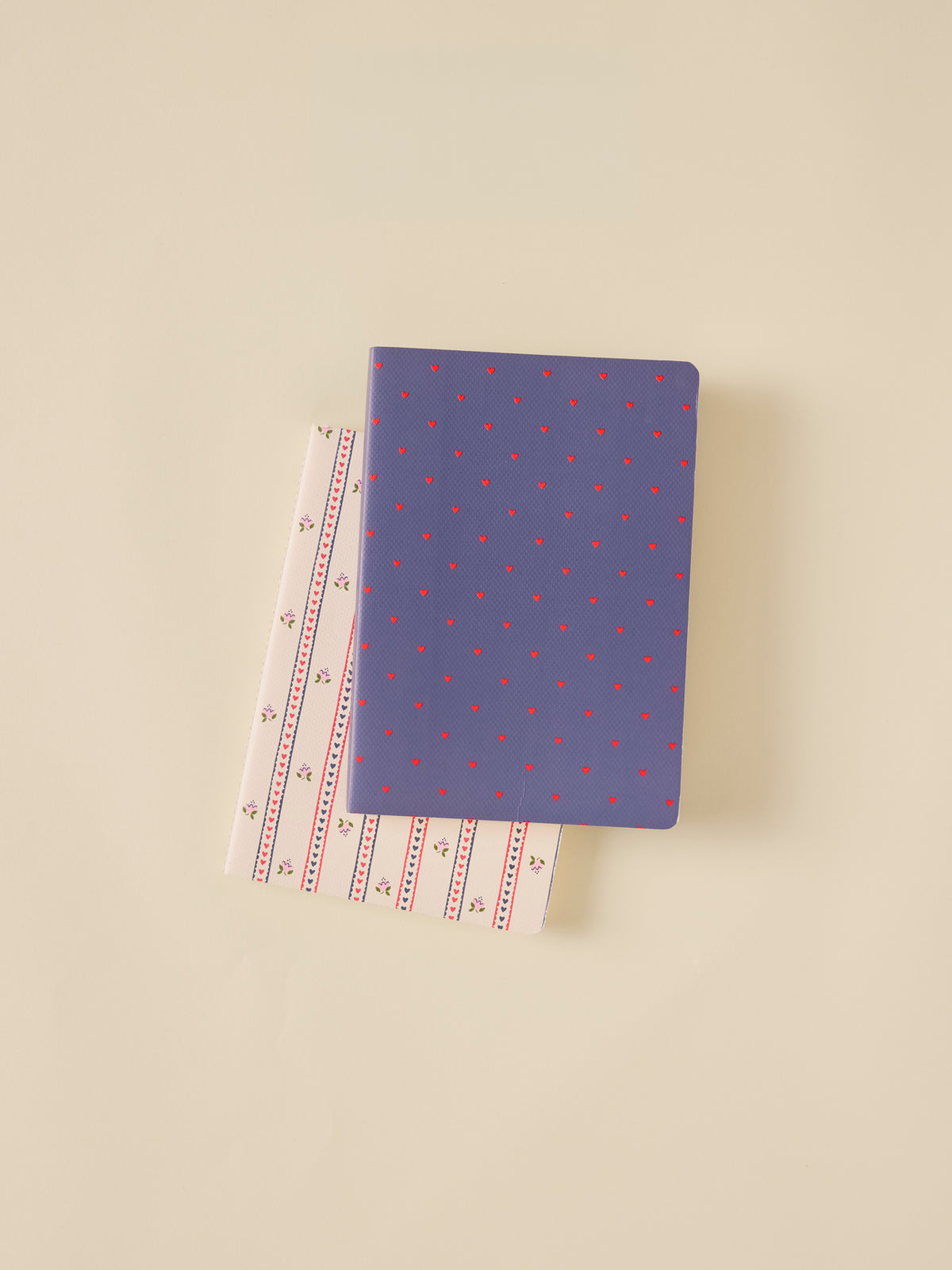 Pack of 2 notebooks