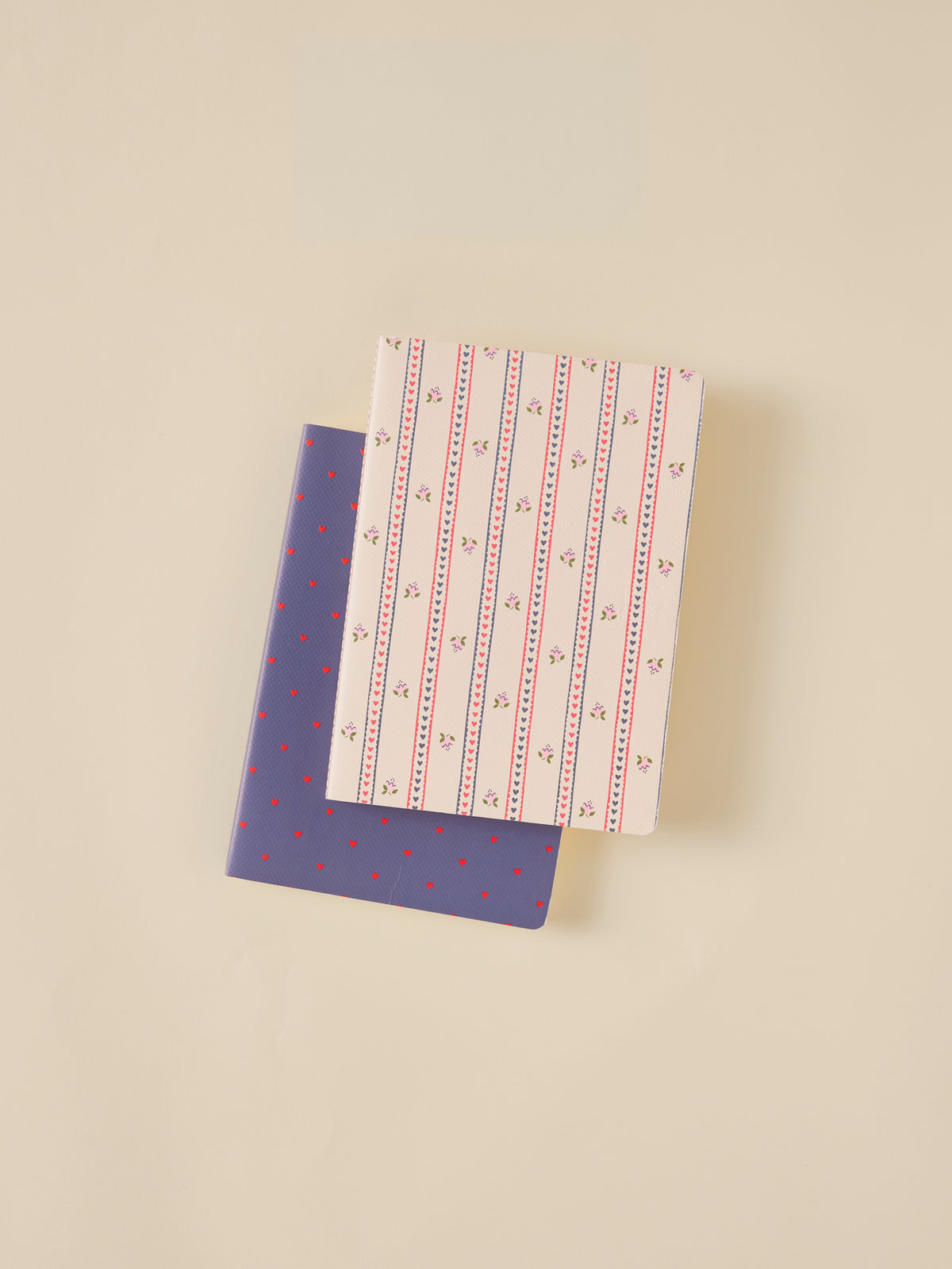 Pack of 2 notebooks