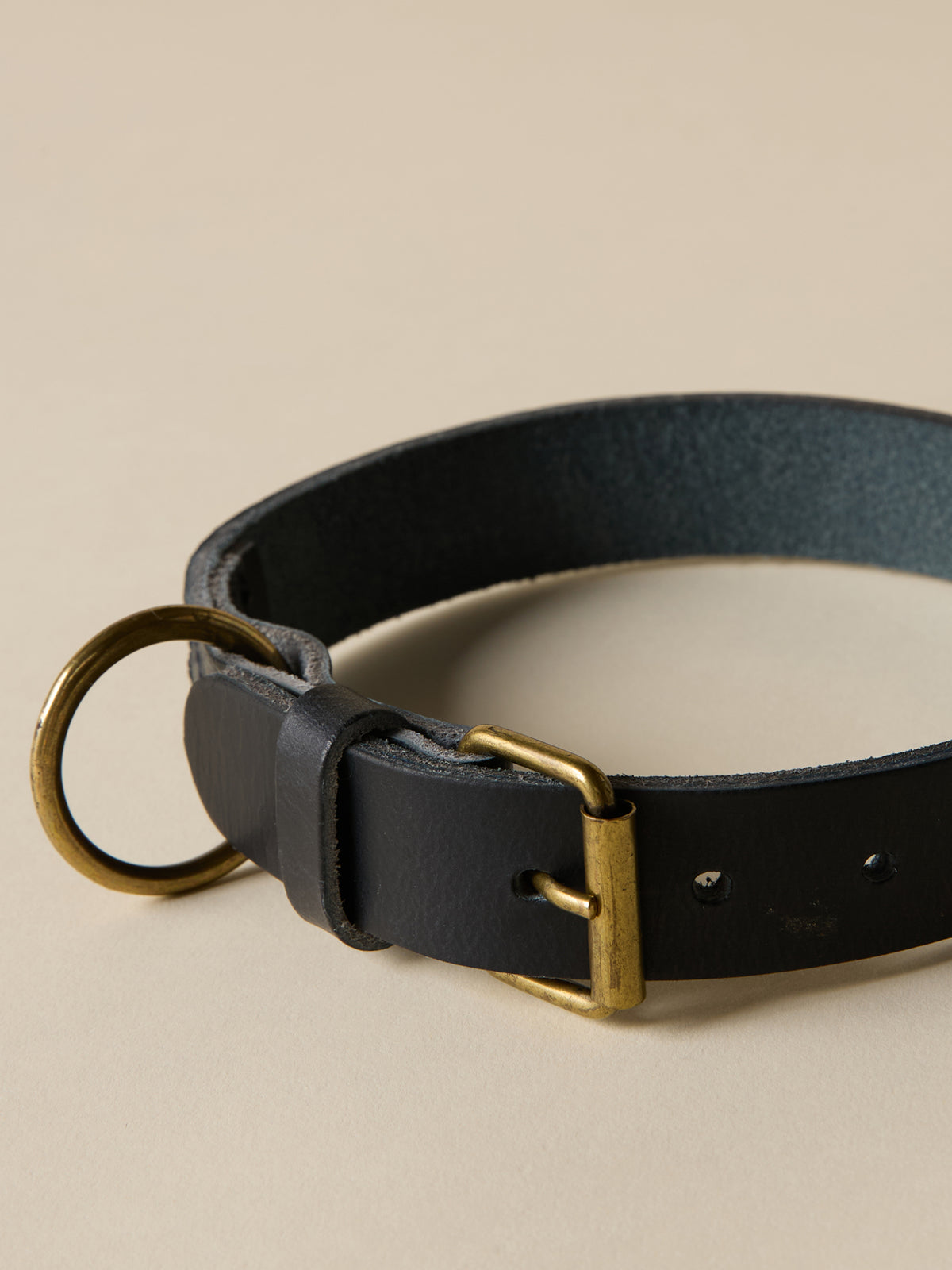 Leather dog collar - Fancy Paws Collection