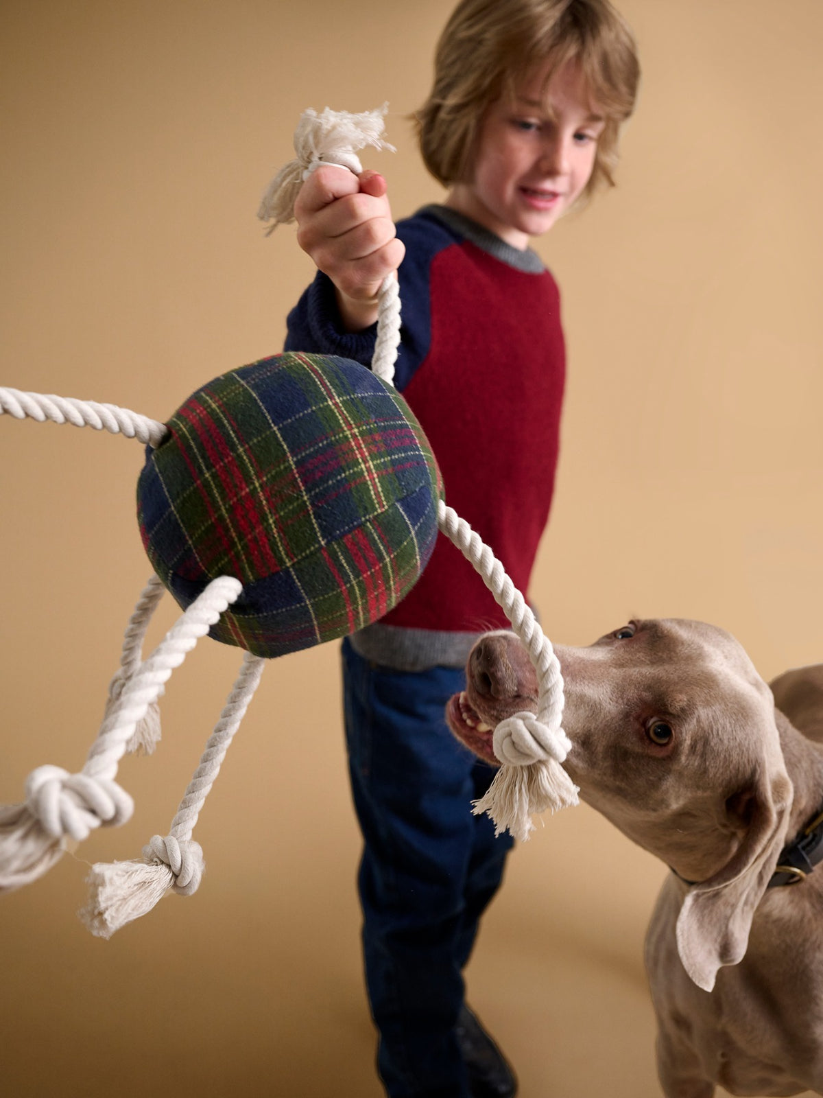 Tartan-print dog ball - Fancy Paws Collection