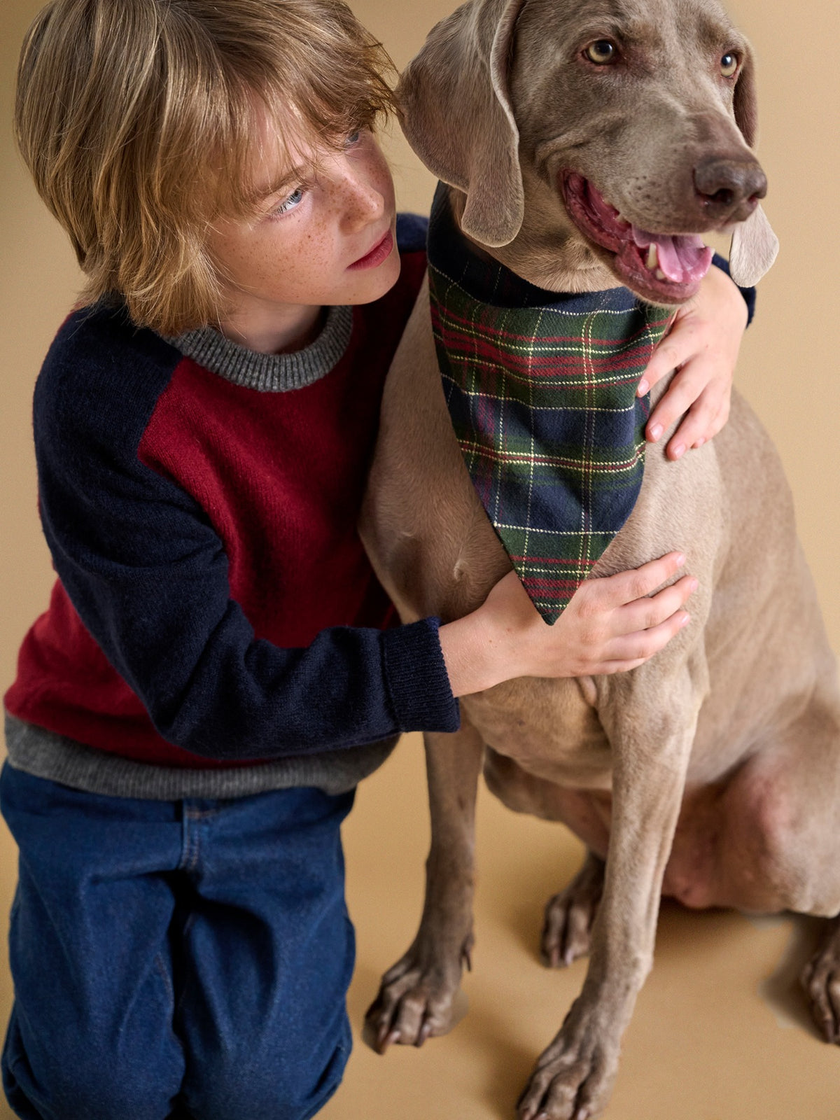 Bandana pour chien - Collection Fine Truffe