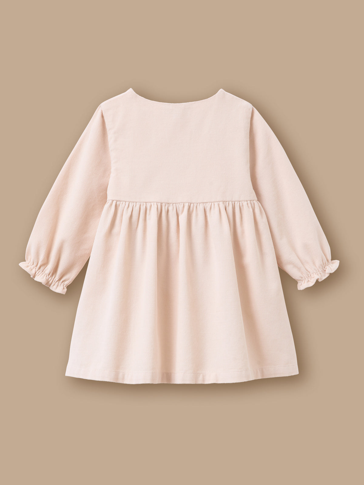 Robe velours et broderie Bébé