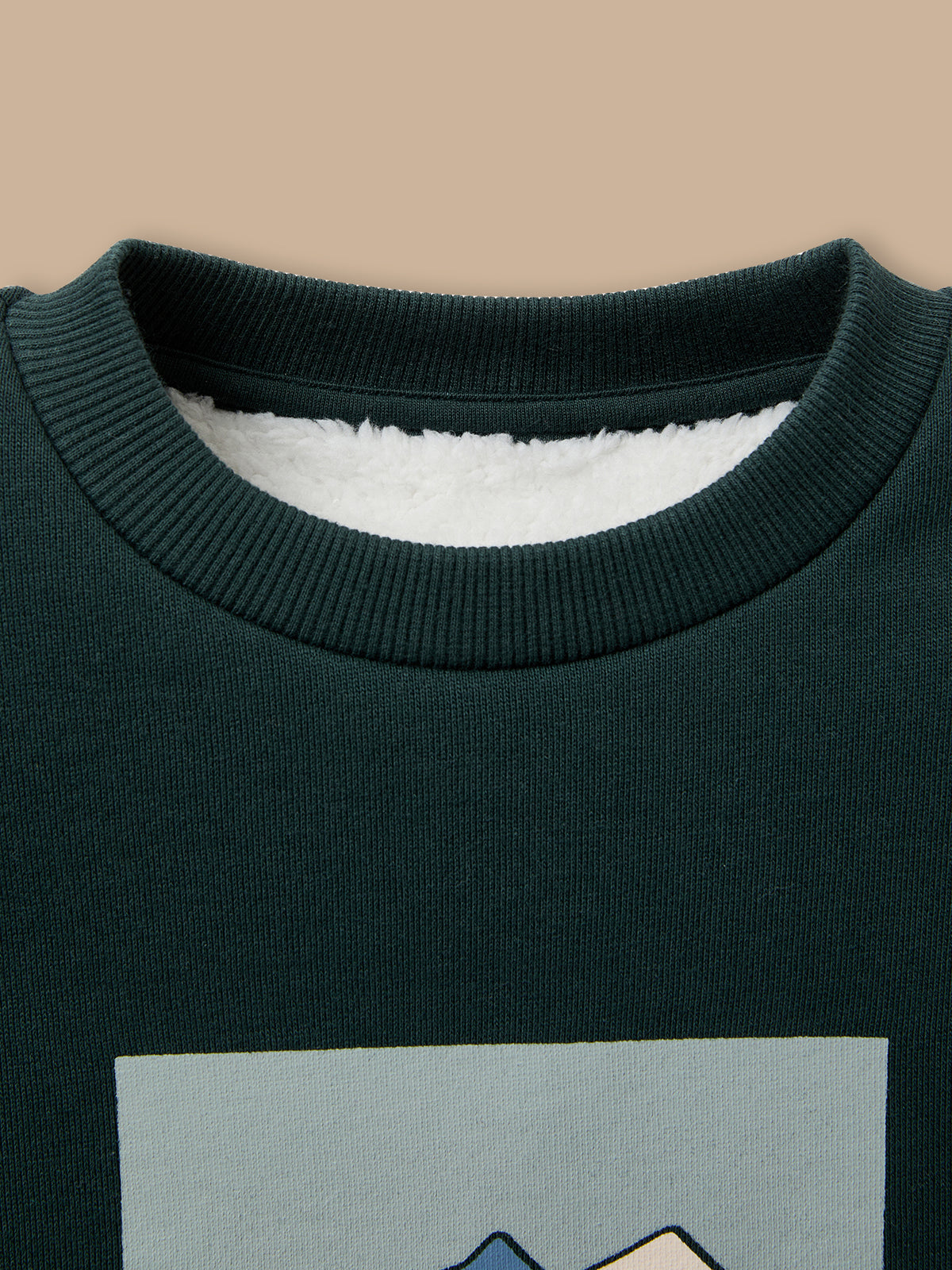 Boy's sherpa-lined sweatshirt