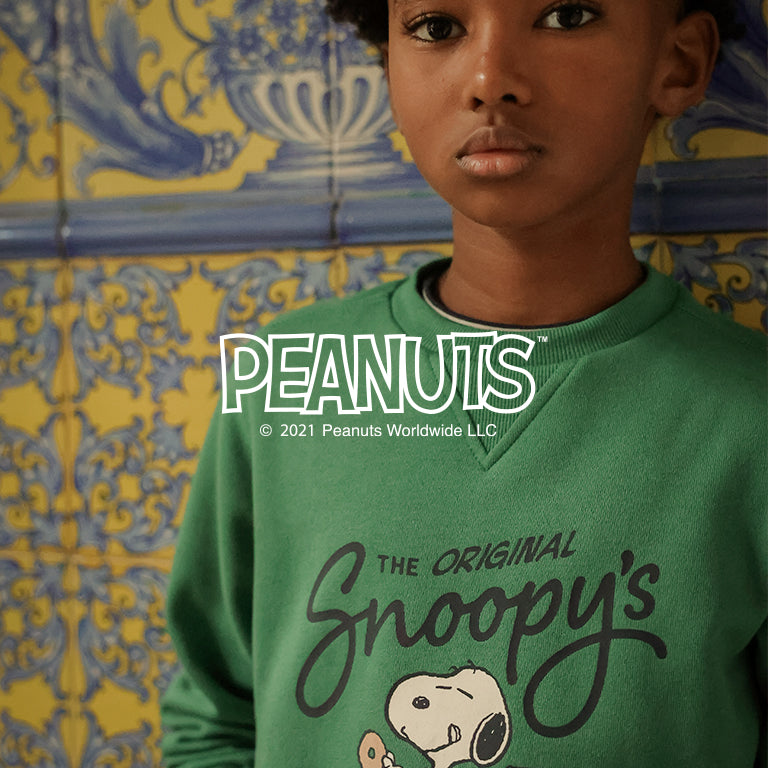 Layer_peanuts_65e6667c-8a0f-4640-b213-54ae0f9fb962